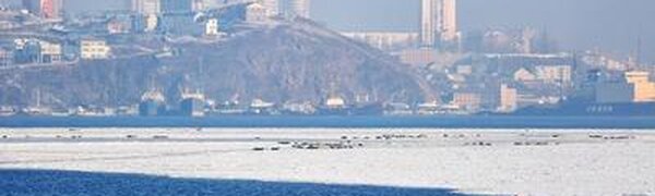 Неустойчивая погода ожидается в Приморье на выходных