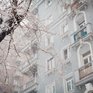 За время снегопада на Владивосток обрушилось 90 % месячной номы осадков