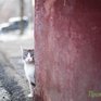 Кратковременное похолодание в Приморье сменит весенняя оттепель