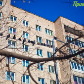 Снежная стихия устроила разгул в Приморье