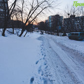 Снежная стихия устроила разгул в Приморье