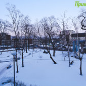 Снежная стихия устроила разгул в Приморье