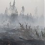 Благовещенск окутан дымом от пожаров в Китае