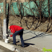 Владивосток вышел на «субботник»