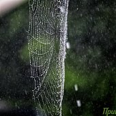 Мощный циклон и его последствия для Владивостока