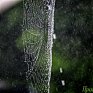 Мощный циклон и его последствия для Владивостока