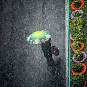 Мощный циклон и его последствия для Владивостока
