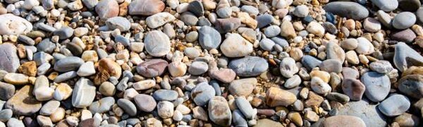 Жителей Владивостока приглашают на субботник в бухте Патрокл