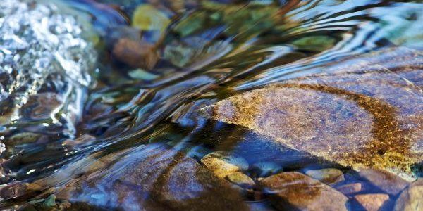 На реках Приморья ожидается подъём уровней воды