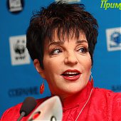 Лайза Миннелли: Маленькая комната для большой звезды