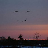 Поднимаем настроение: Ожившие предметы
