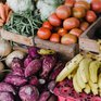 Продуктовая ярмарка развернётся завтра в центре Владивостока