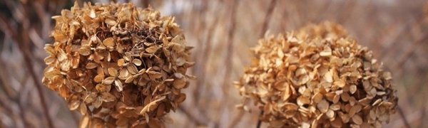 В Приморье приходит предзимье