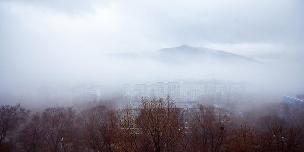Циклоны принесли в Приморье оттепель и первые дожди