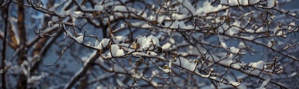 В пятницу в Приморье придёт короткое потепление и снег