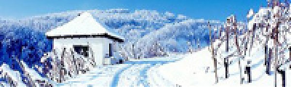 Снег заблокировал в Андах около 15 тысяч туристов