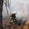 Во Владивостоке сохраняется пожароопасный сезон