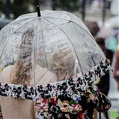 До конца рабочей недели в Приморье сохранятся небольшие дожди