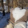 Снег и похолодание — синоптики дали прогноз погоды в Приморье на 14 — 15 февраля