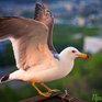 Жаркая погода пришла в Приморье