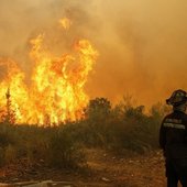 В Чили горит около 2 тысяч гектаров леса (ФОТО)