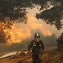 В Чили горит около 2 тысяч гектаров леса (ФОТО)