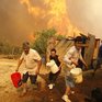 В Чили горит около 2 тысяч гектаров леса (ФОТО)
