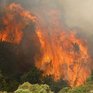 В Чили горит около 2 тысяч гектаров леса (ФОТО)