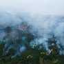 В Чили горит около 2 тысяч гектаров леса (ФОТО)
