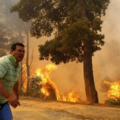 В Чили горит около 2 тысяч гектаров леса (ФОТО)