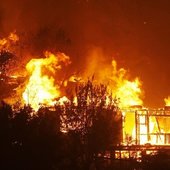В Чили горит около 2 тысяч гектаров леса (ФОТО)