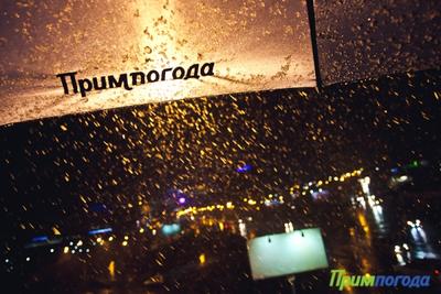 За ночь во Владивостоке выпала декадная норма осадков За ночь во Владивостоке выпала декадная норма осадков