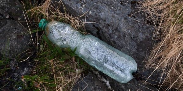 ООН: Природа в худшем состоянии за всю историю человечества