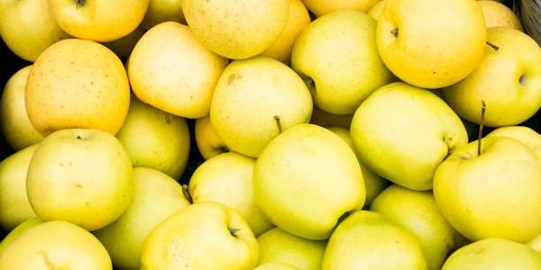 В России перестанут уничтожать пригодные к употреблению продукты