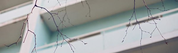 На следующей неделе в Приморье похолодает, возможен небольшой снег