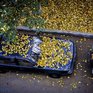 В Приморье в понедельник пройдут дожди, затем похолодает