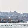 Птичья весна во Владивостоке