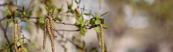 Во вторник погода в Приморье существенно не изменится