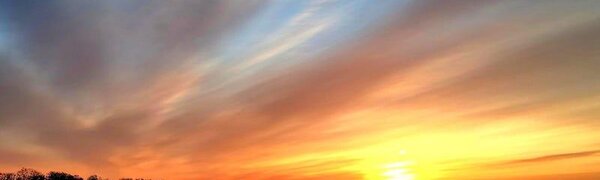 Февраль в Сихотэ-Алинском заповеднике – встречаем весну