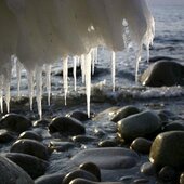 Февраль в Сихотэ-Алинском заповеднике – встречаем весну