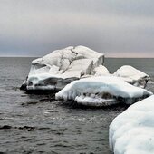 Февраль в Сихотэ-Алинском заповеднике – встречаем весну