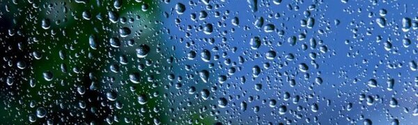 Первые выходные лета на побережье Приморья будут прохладными и дождливыми