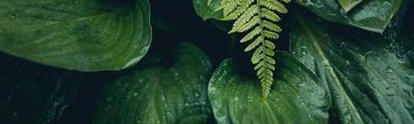 Лето в Приморье начнется с прохладной дождливой погоды