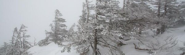 Высота снежного покрова в Приморье местами достигает 55 см