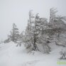 Высота снежного покрова в Приморье местами достигает 55 см