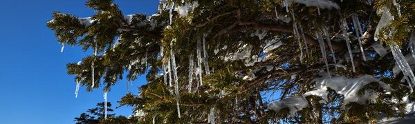 Похолодание начнётся в Приморье в среду