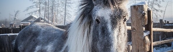 На Дальнем Востоке зафиксированы первые 40-градусные морозы