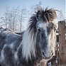 На Дальнем Востоке зафиксированы первые 40-градусные морозы