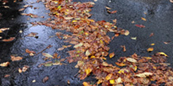 Экстремально дождливый июль 