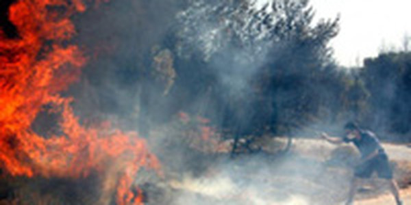 К пригороду Афин подбирается пожар